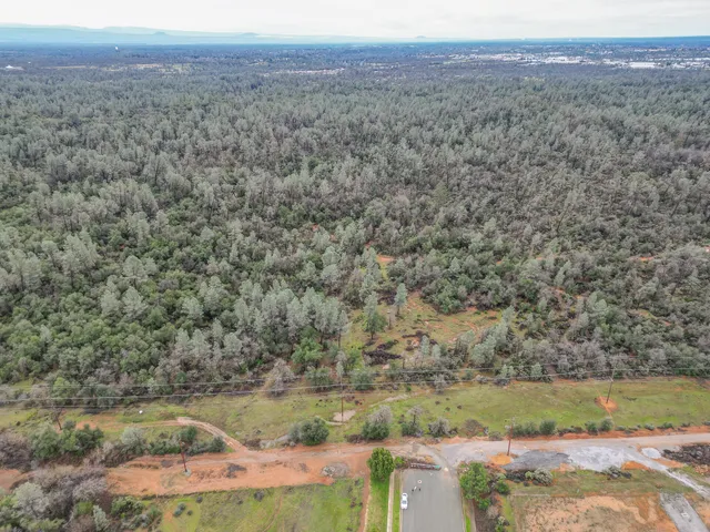 a view of a field with trees in the background