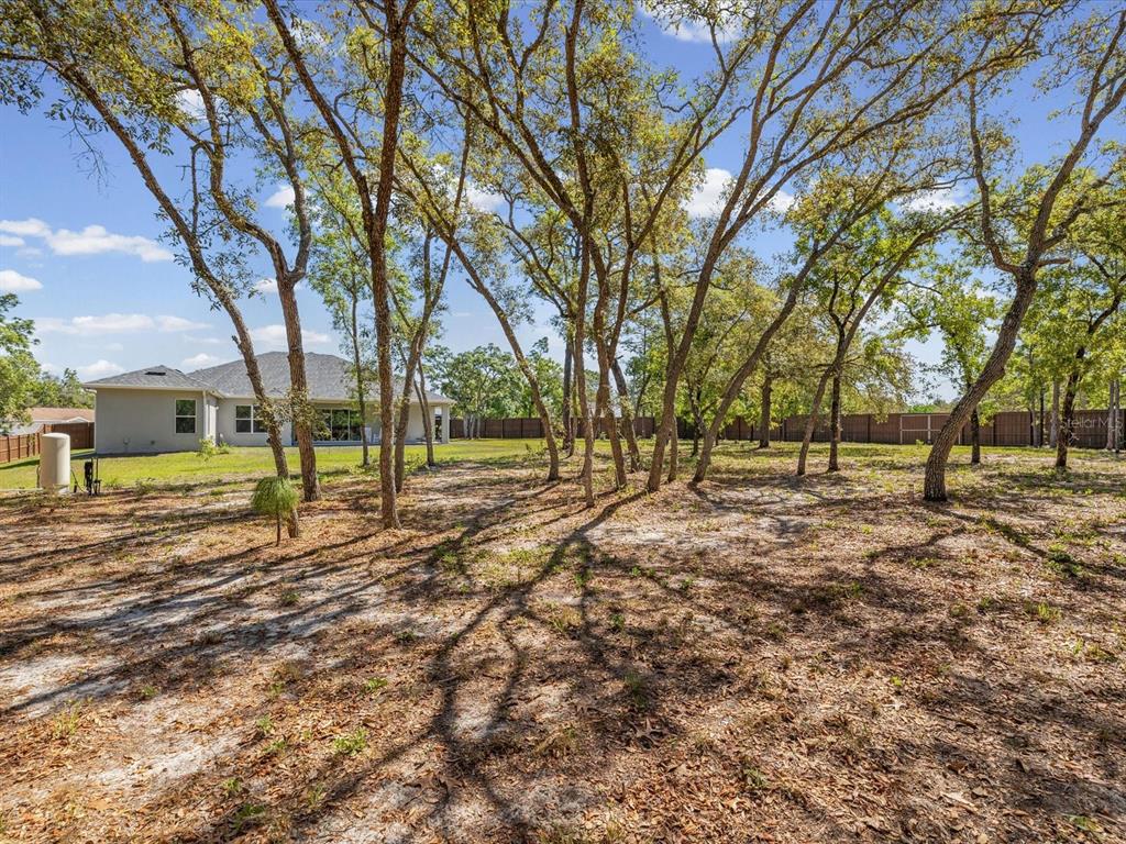 11981 Robina Road Weeki Wachee, FL 34614 - Photo 61 of 93