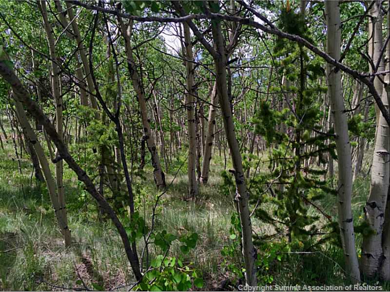 173 Gadwall Road Como, CO 80432 - Photo 2 of 5 Land.