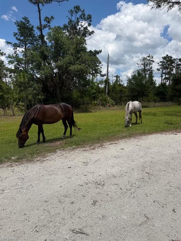 1375 Ash Road Northwest LaBelle, FL 33935 - Photo 13 of 26