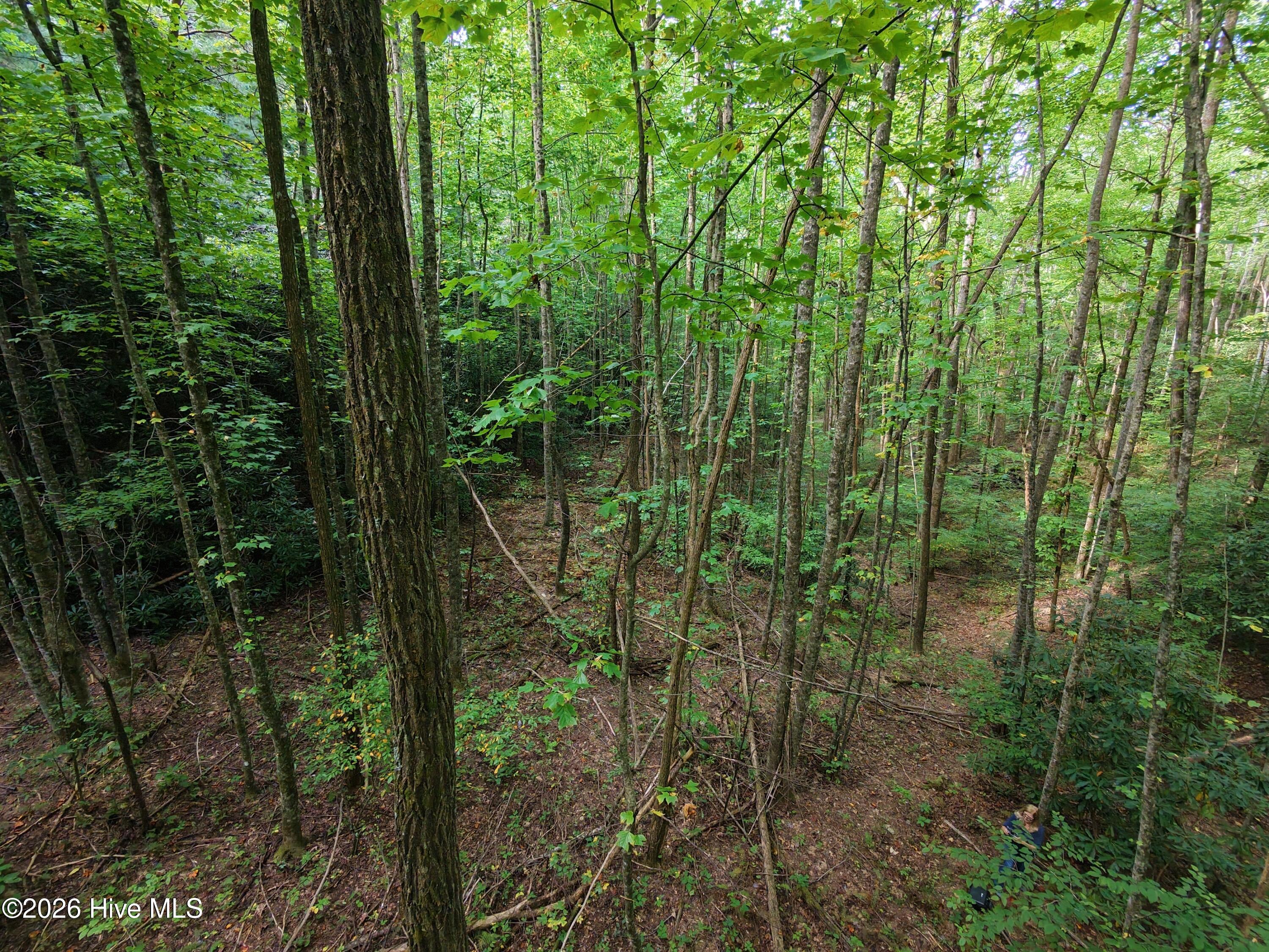 0 Collett Creek Road Andrews, NC 28901 - Photo 4 of 10 dji_fly_20260919_105654_0214_17904204635