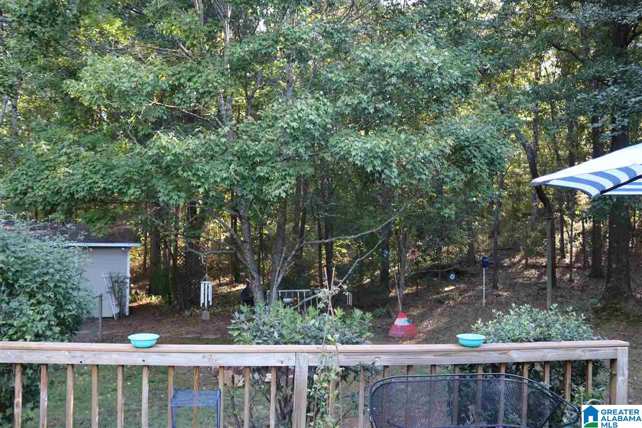 315 Anna Mattison Road Oxford, AL 36203 - Photo 28 of 41