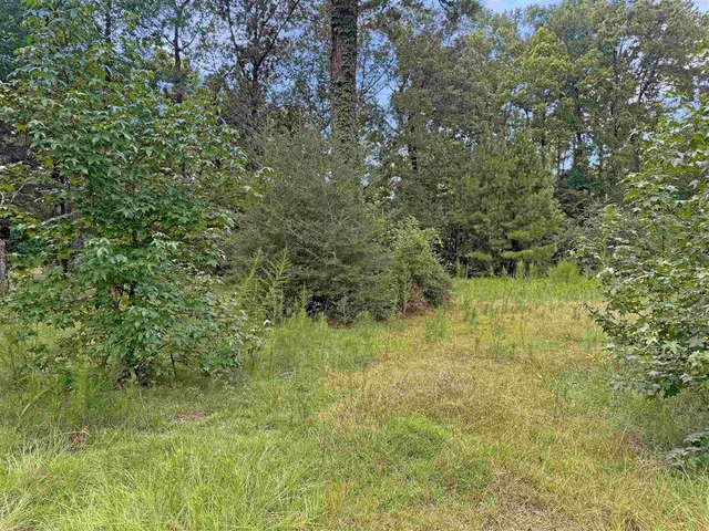 $125,000 | 13637 Highway 111, Anacoco, LA 71403