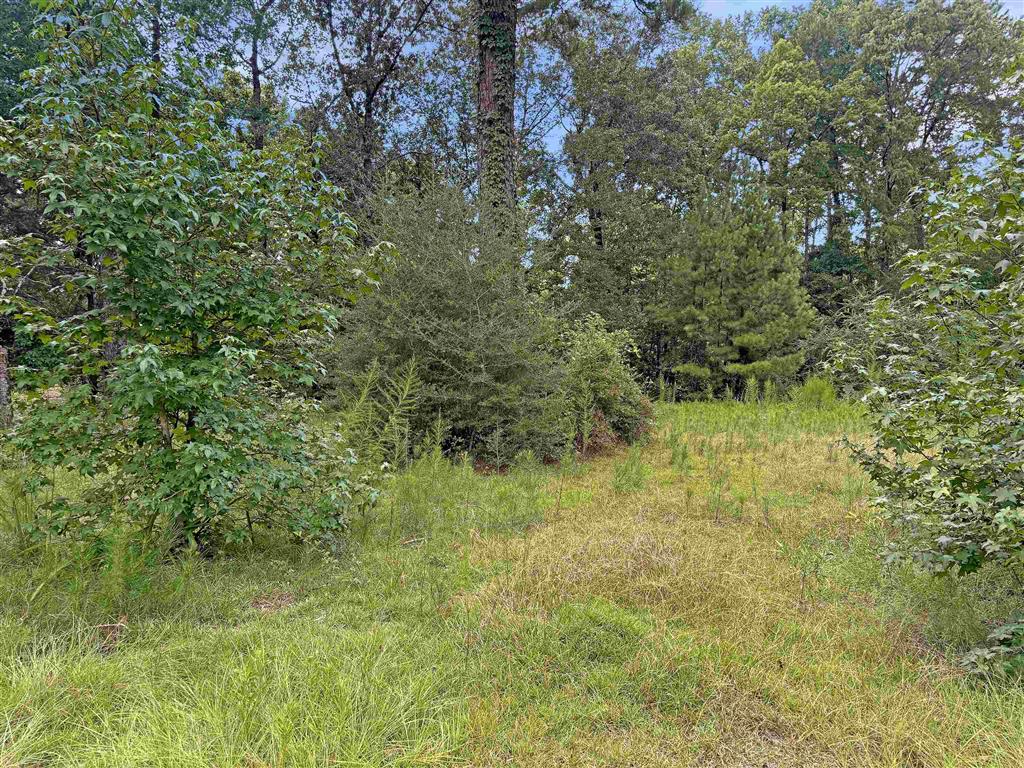 13637 Highway 111 Anacoco, LA 71403 - Photo 12 of 13