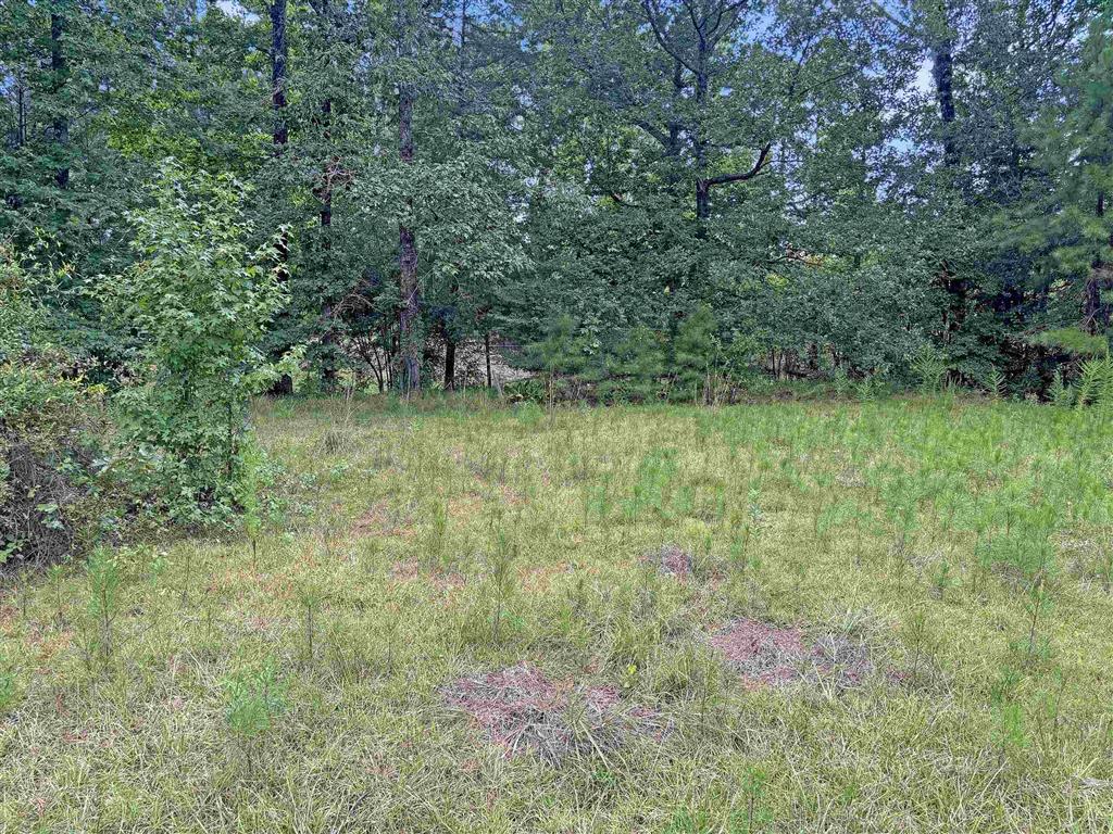 13637 Highway 111 Anacoco, LA 71403 - Photo 13 of 13