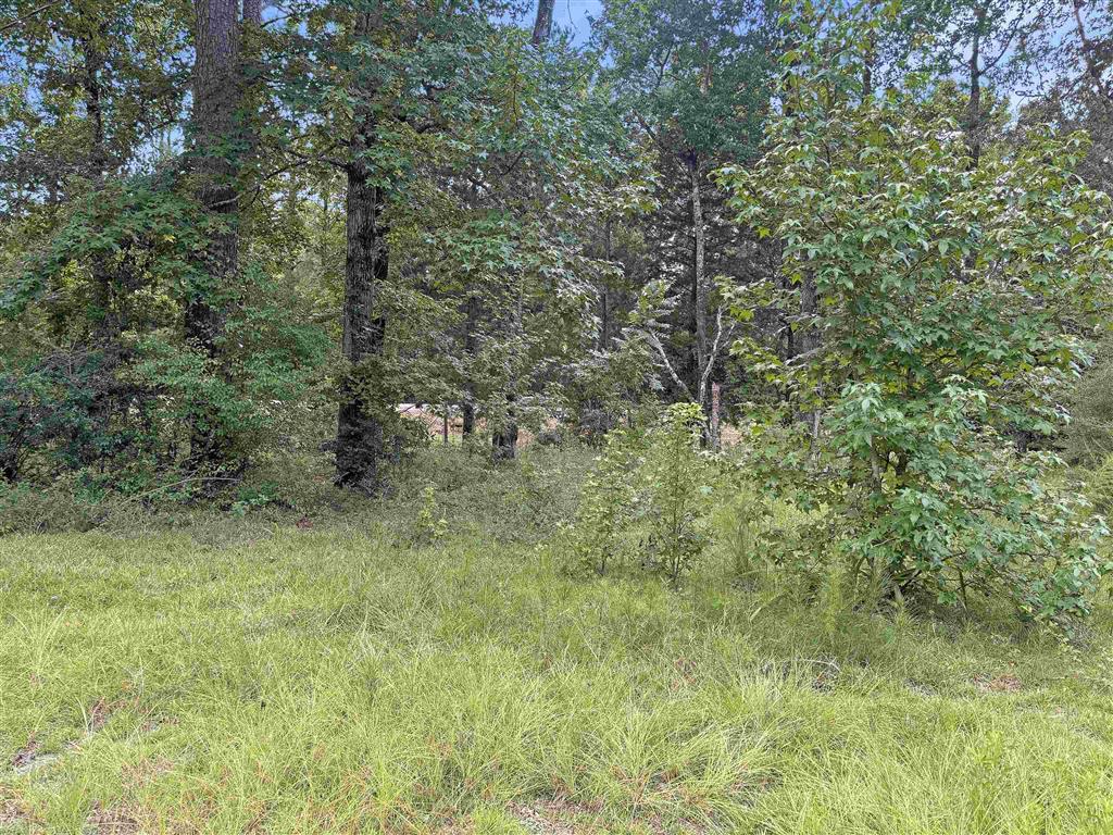 13637 Highway 111 Anacoco, LA 71403 - Photo 10 of 13