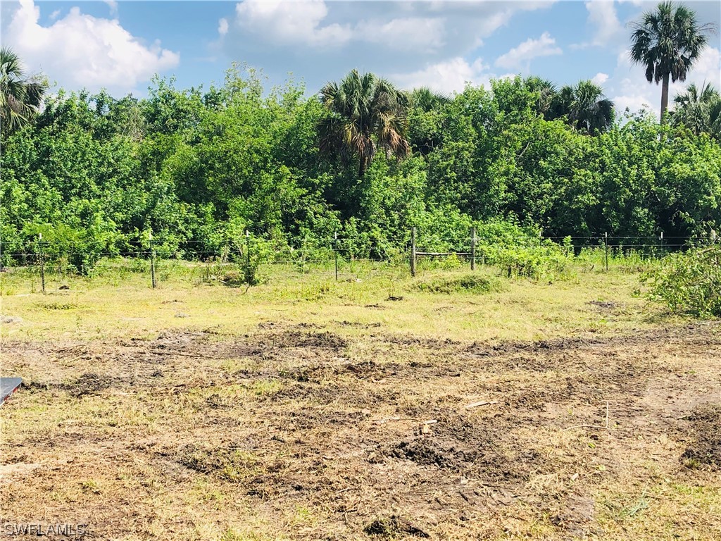 17720 Caloosa Road Alva, FL 33920 - Photo 5 of 7 a view of a yard with wooden fence