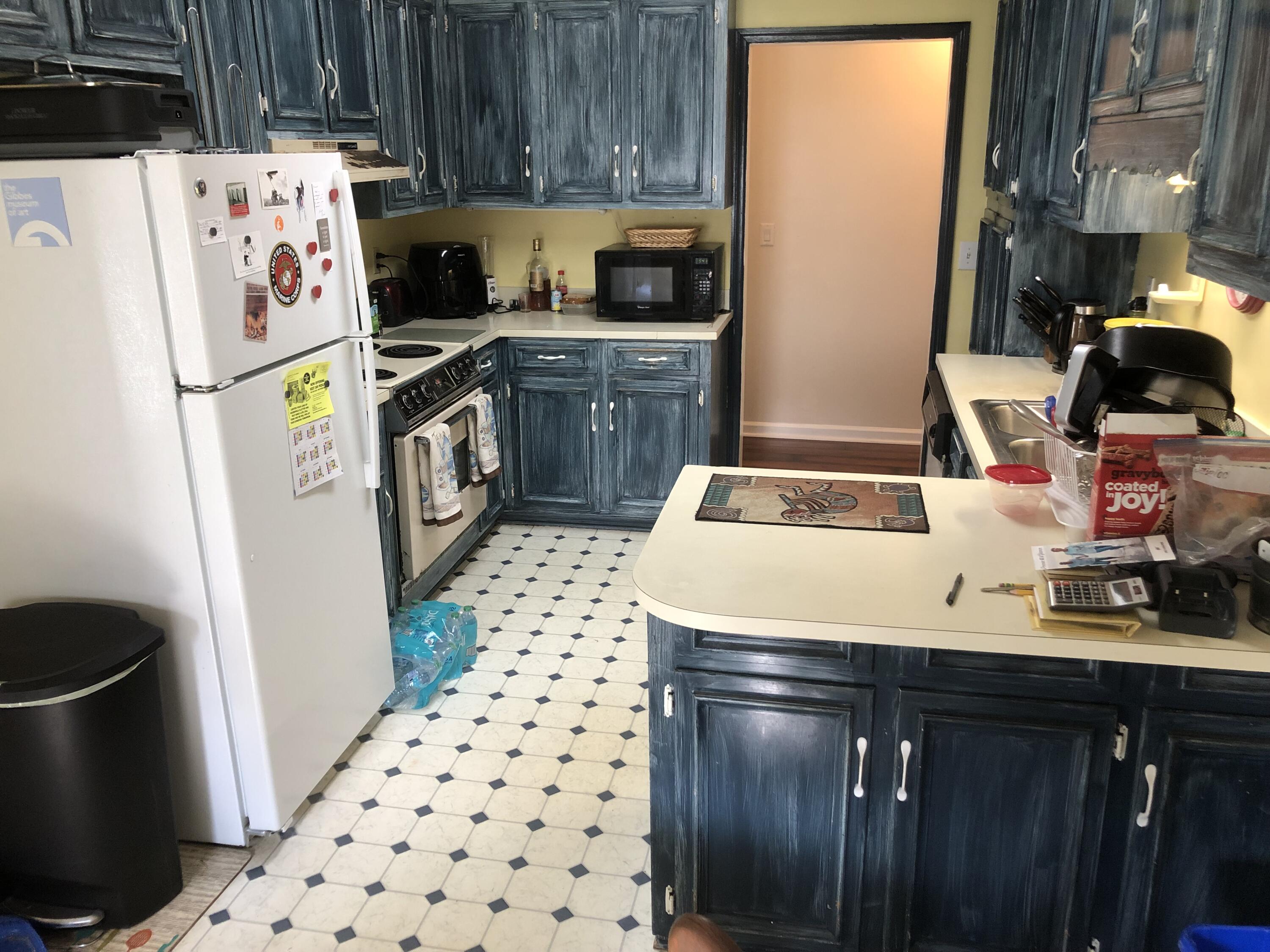 747 Brant Road Charleston, SC 29414 - Photo 5 of 20 IMG_4624