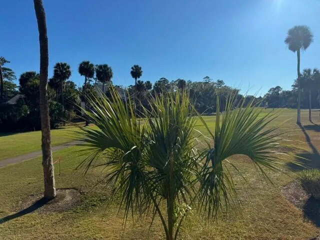 $299,945 | 280 Driftwood Lane, Edisto Island, SC 29438