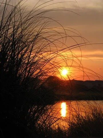 $299,945 | 280 Driftwood Lane, Edisto Island, SC 29438