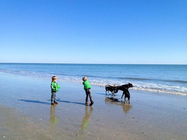 $299,945 | 280 Driftwood Lane, Edisto Island, SC 29438