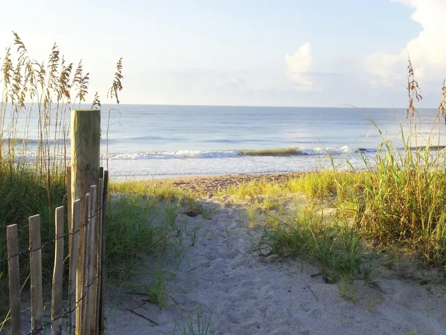 $299,945 | 280 Driftwood Lane, Edisto Island, SC 29438