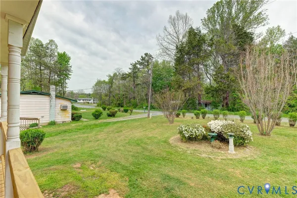 a view of a backyard with a tree