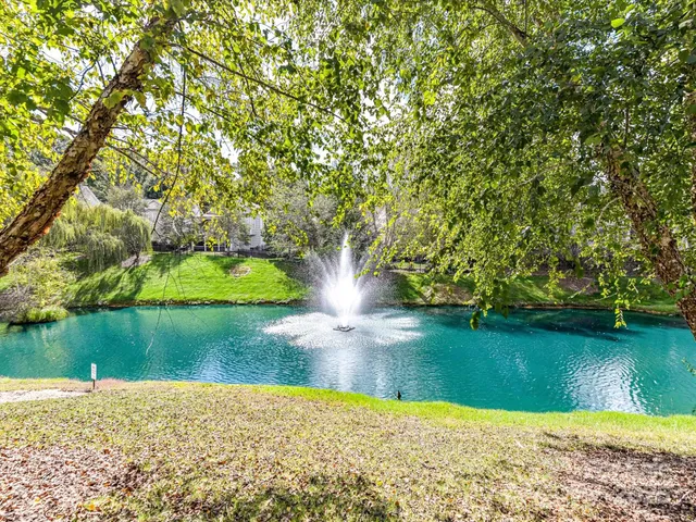 a view of a lake from a yard