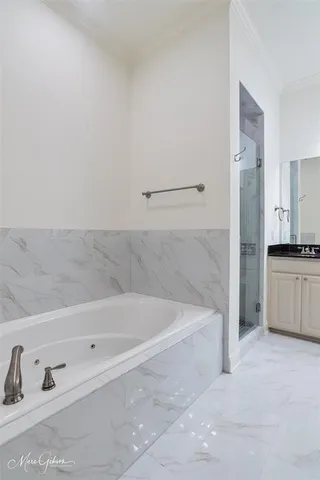 a bathroom with a bathtub and a shower