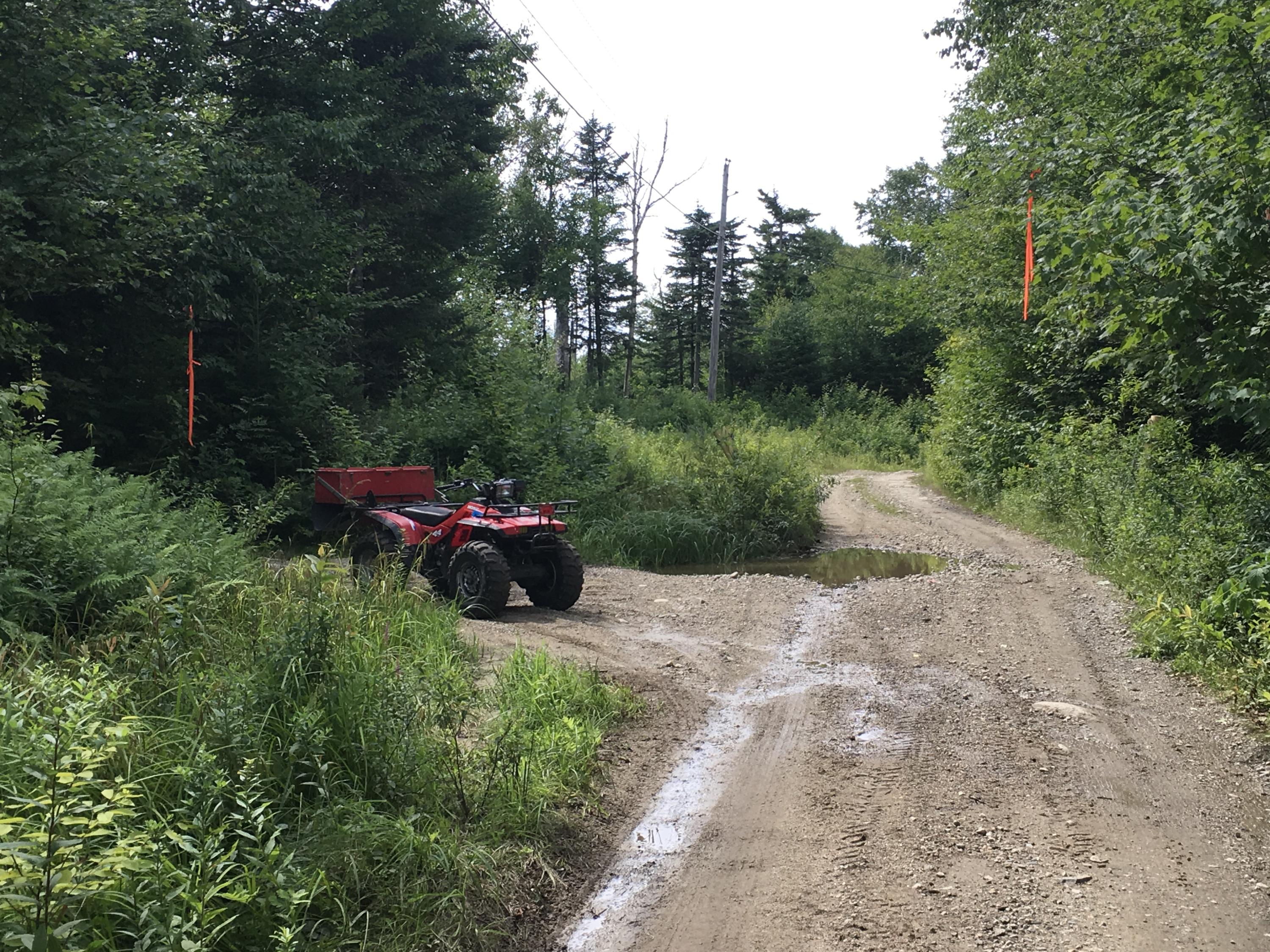 0 Tower Road Rumford, ME 04276 - Photo 5 of 34 07E50F5E-D105-4B44-BDC8-4E92C60C5FD4