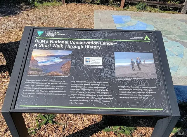 a view of a yard with plants