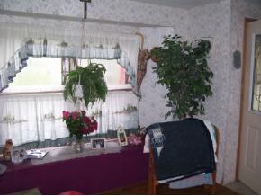 2160 Settle Road Newark Valley, NY 13811 - Photo 5 of 6 Gallery Image 5