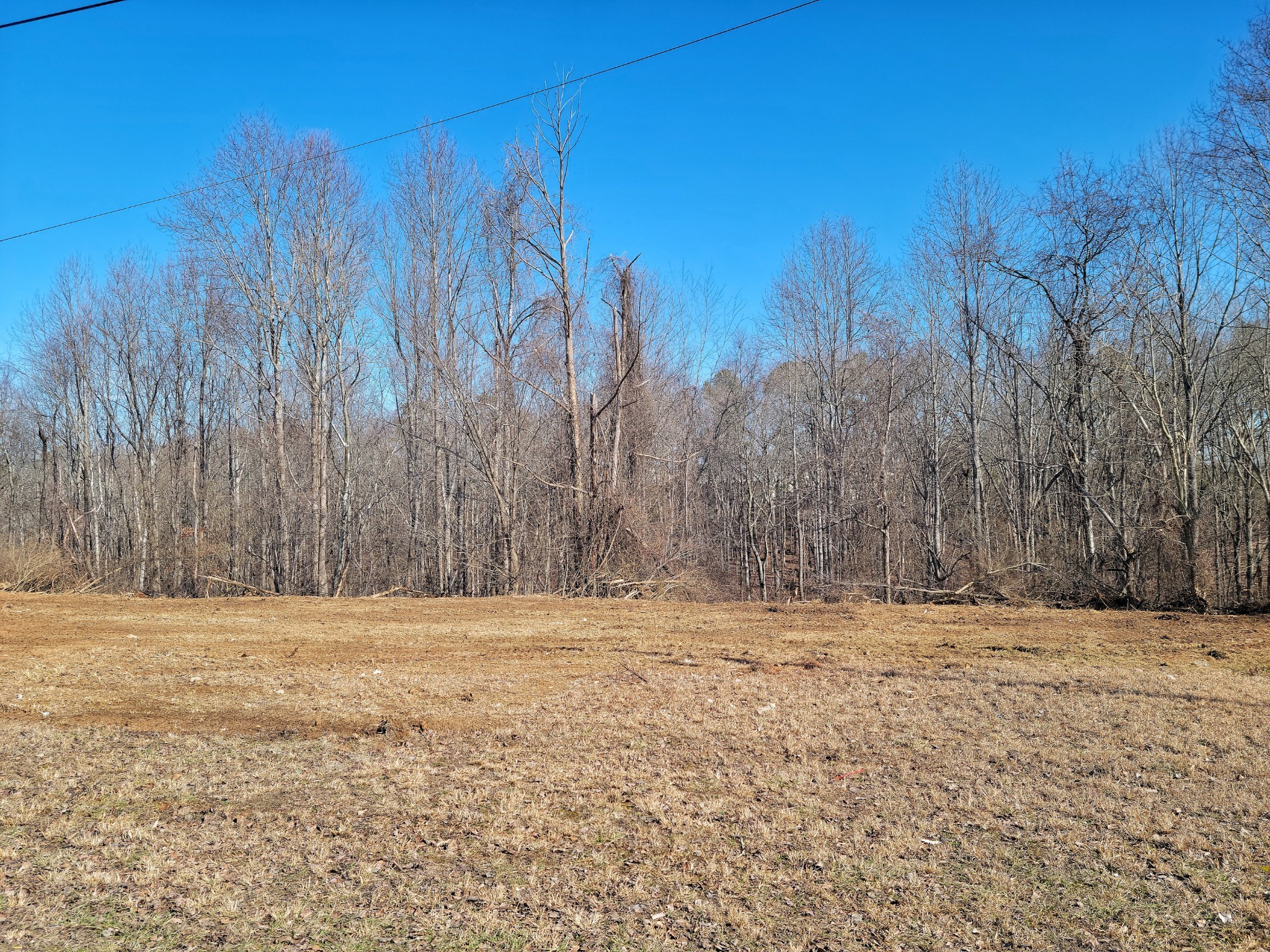 150 Happy Hollow Road Hohenwald, TN 38462 - Photo 3 of 5 Gallery Image 3