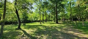 678 Old Phelps Road Huntsville, TX 77340 - Photo 1 of 35 Gallery Image 1