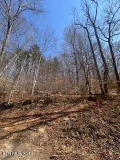 $140,000 | 0 Swan Seymour Road, Maynardville, TN 37807