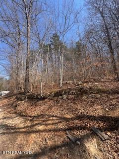 0 Swan Seymour Road Maynardville, TN 37807 - Photo 11 of 15 image10