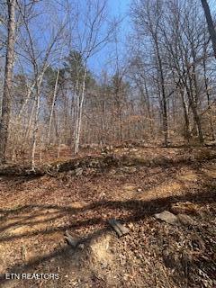 0 Swan Seymour Road Maynardville, TN 37807 - Photo 12 of 15 image11