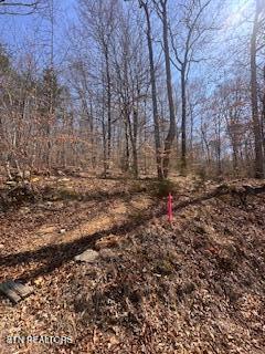 0 Swan Seymour Road Maynardville, TN 37807 - Photo 13 of 15 image12