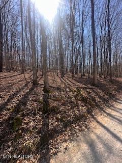 0 Swan Seymour Road Maynardville, TN 37807 - Photo 14 of 15 image13