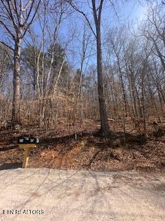 0 Swan Seymour Road Maynardville, TN 37807 - Photo 2 of 15 image1