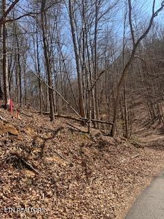 0 Swan Seymour Road Maynardville, TN 37807 - Photo 4 of 15 image3