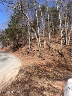 0 Swan Seymour Road Maynardville, TN 37807 - Photo 5 of 15 image4