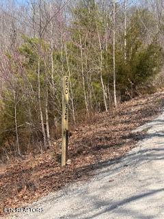 0 Swan Seymour Road Maynardville, TN 37807 - Photo 6 of 15 image5