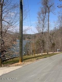 0 Swan Seymour Road Maynardville, TN 37807 - Photo 7 of 15 image6