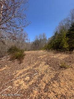 0 Swan Seymour Road Maynardville, TN 37807 - Photo 8 of 15 image7