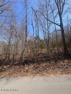 0 Swan Seymour Road Maynardville, TN 37807 - Photo 9 of 15 image8