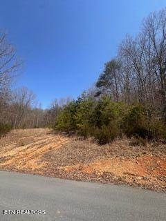 0 Swan Seymour Road Maynardville, TN 37807 - Photo 10 of 15 image9