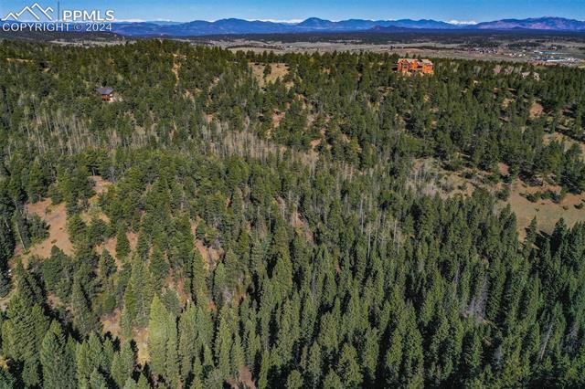 1100 Elk Ridge South Divide, CO 80814 - Photo 4 of 34