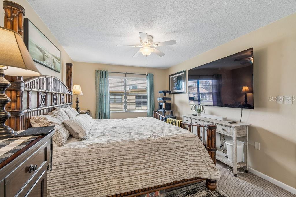 4753 Sunny Loop Holiday, FL 34690 - Photo 17 of 29