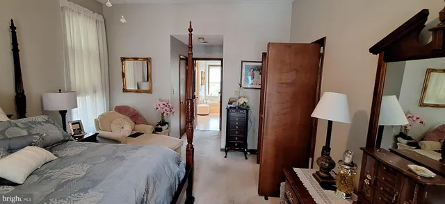 a view of staircase with a potted plant