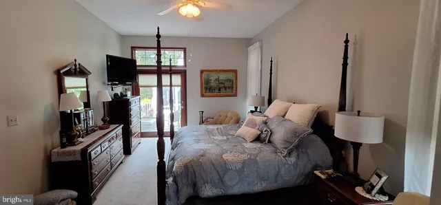 a view of staircase with wooden floor and a potted plant