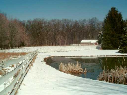 1174 Villa Maria Road Pulaski, PA 16143 - Photo 4 of 6 Other.