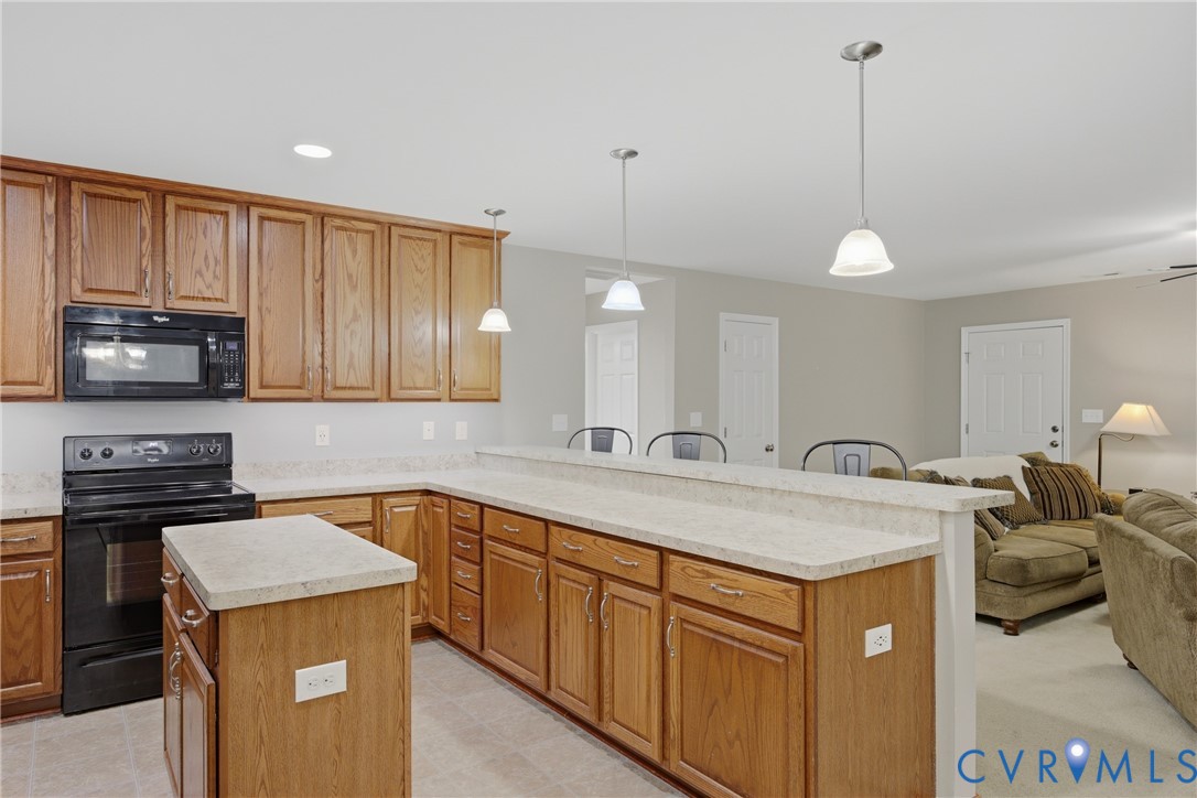 10009 Holly Road Mechanicsville, VA 23116 - Photo 13 of 43