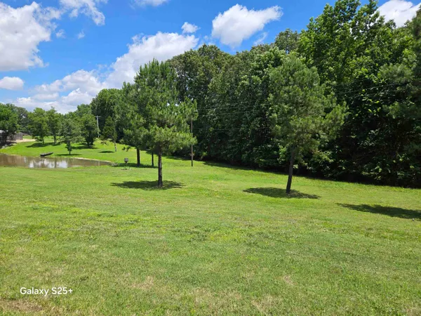 a view of a garden with a tree