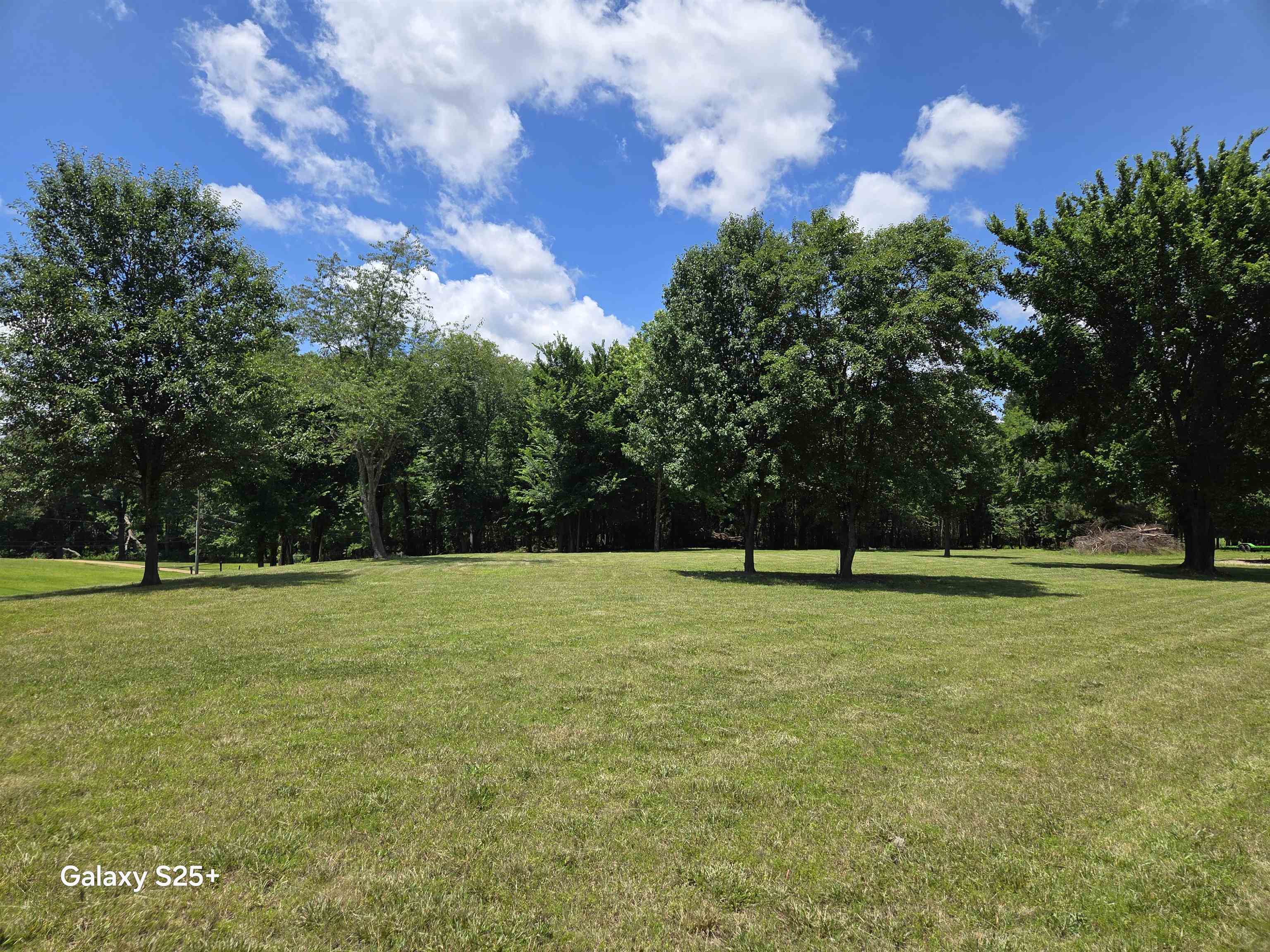 8224 Memphis Arlington Road Bartlett, TN 38002 - Photo 5 of 7 a view of outdoor space and yard