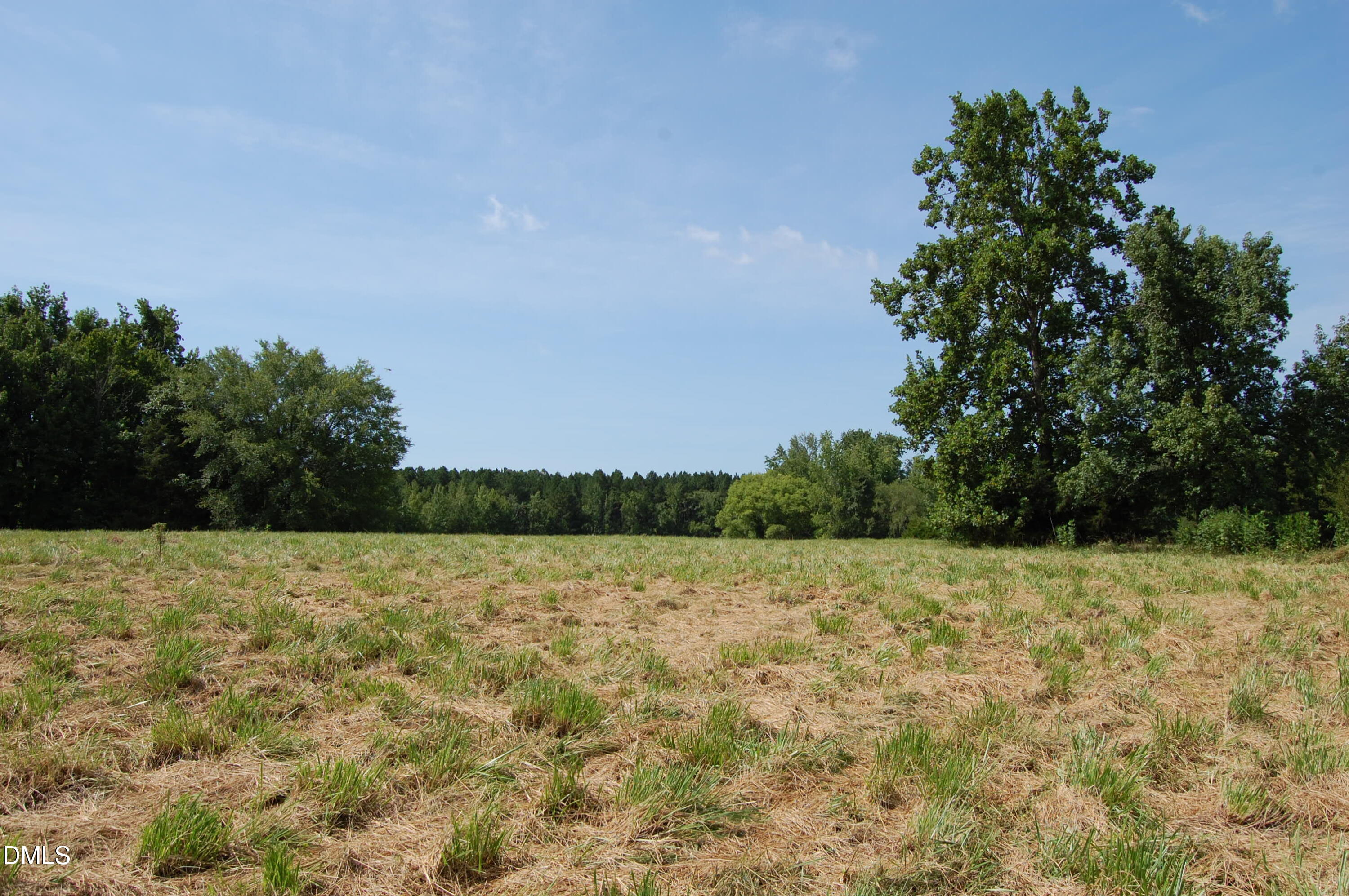 a view of a field with a tree in the background