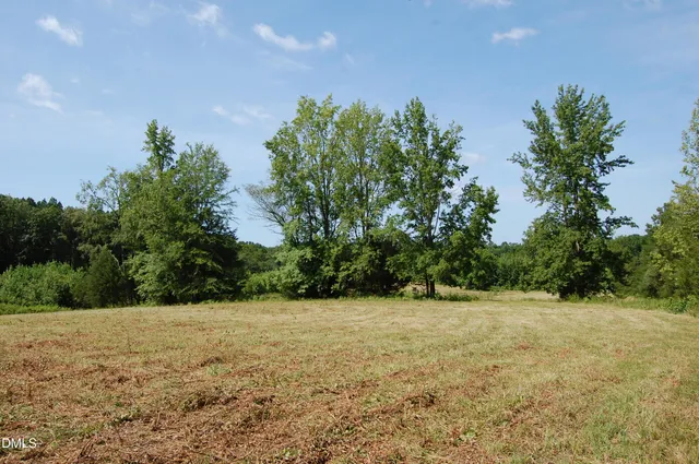 a view of a field with trees in the background