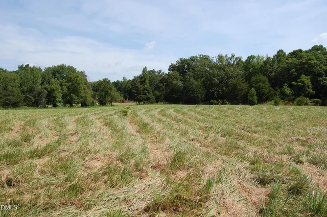 a view of a big yard with trees in the background