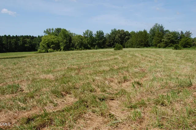 a view of a field with trees in the background