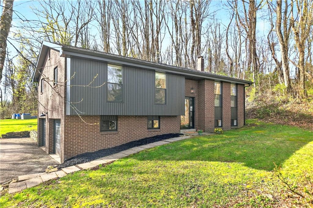 a view of a backyard with a large tree